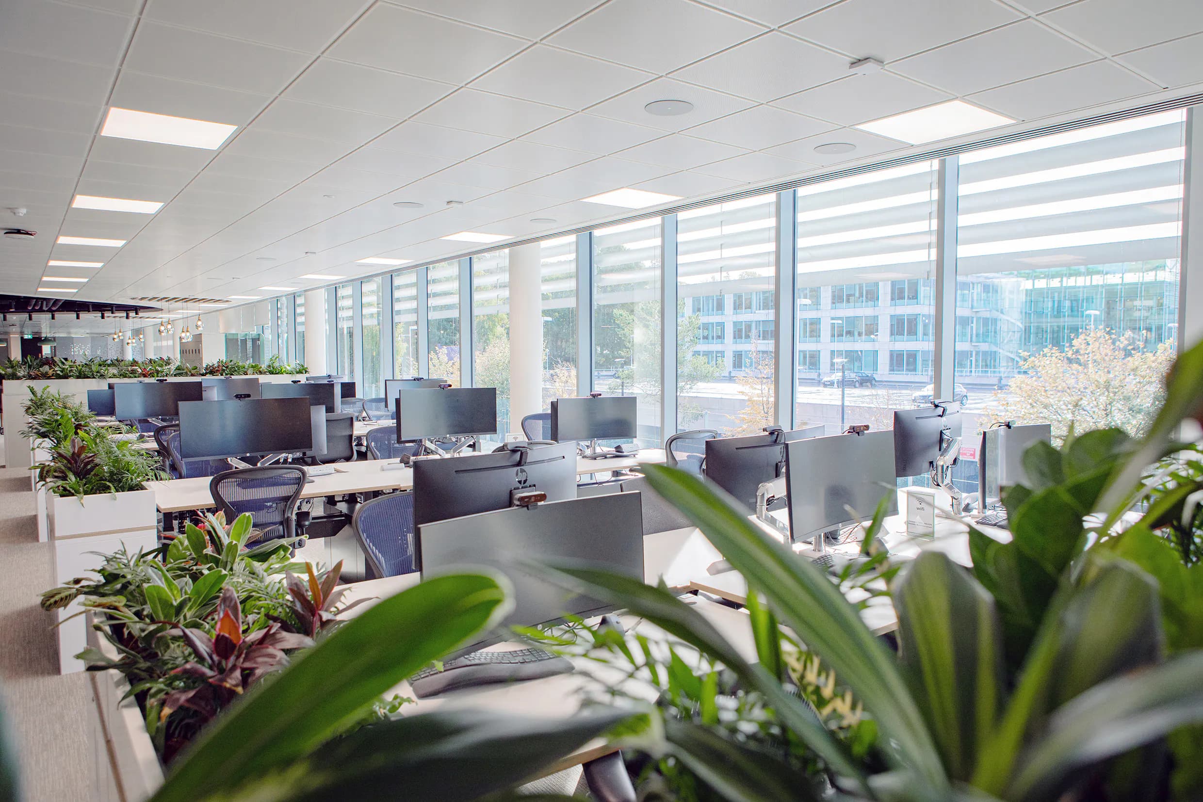 No5Workspace4.jpg