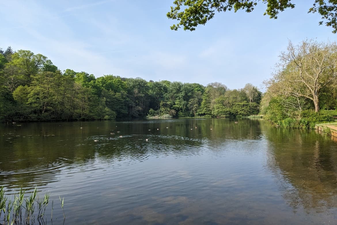 Freehold Mixed Use Investment Property For Sale in Reigate, Surrey 4