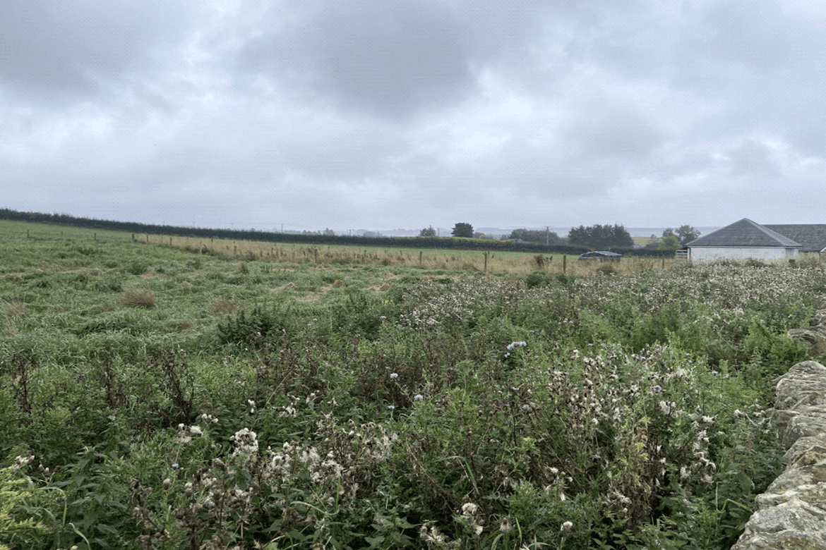 Two residential builidng plots for sale in Newbigging 1