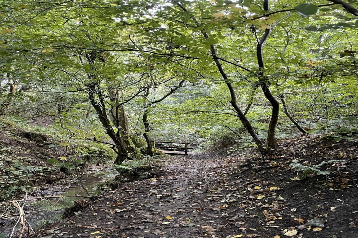 Woodland for sale in Dearham, CA15 5