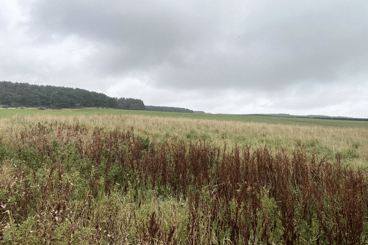 Two residential development plots for sale in Newbigging 2