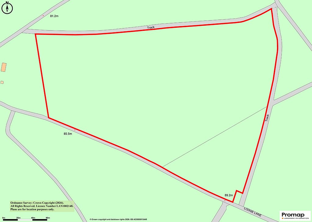 Broadview Wood and Broadstring Wood, Lodge Lane, Tunbridge Wells TN3 9NZ: Over 13.5 Acres Of Woodland 3