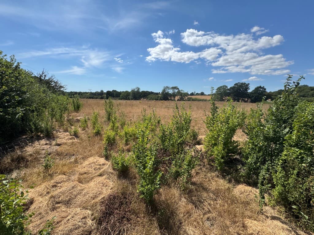 Land Adj Loftylands Farm, Warehorne Road, Warehorne, Ashford TN26 2JT: Freehold Land Extending To Almost 8.5 Acres 4