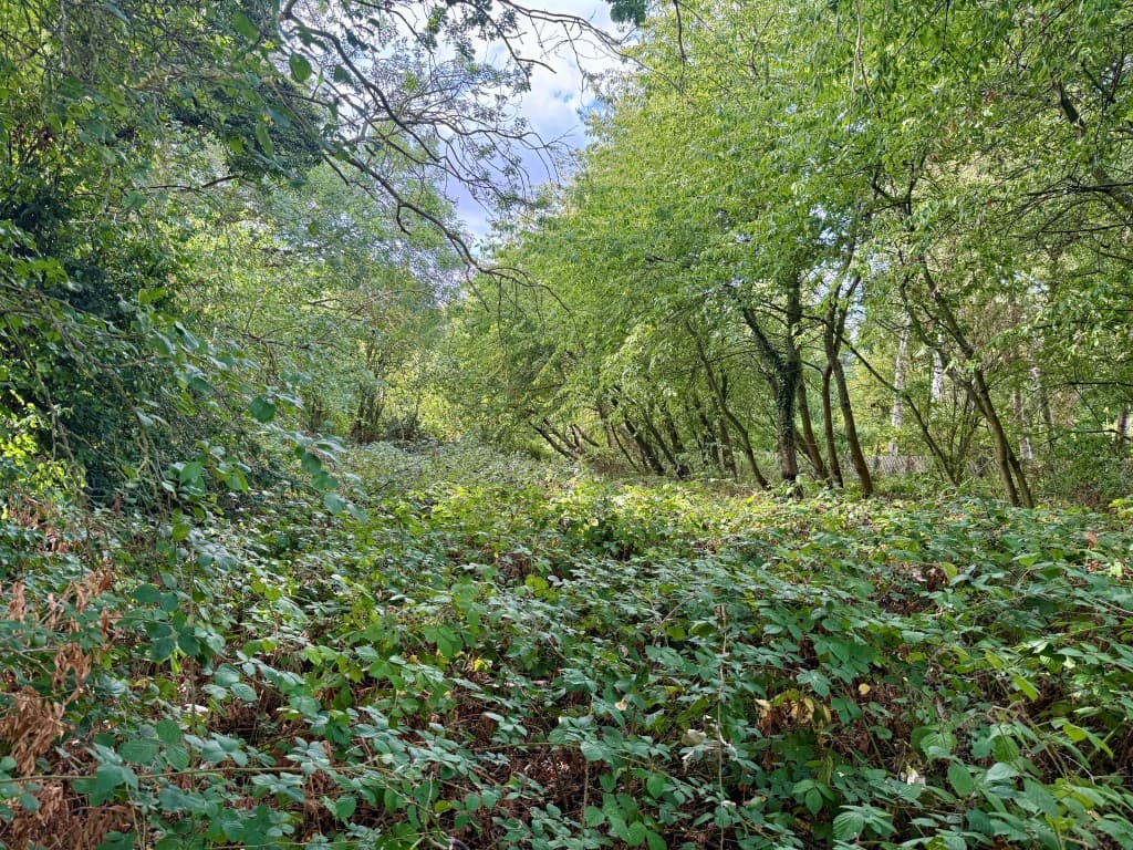Land On West Side of Bottles Lane, Rodmersham, Sittingbourne ME9 0PR: Freehold Land Measuring Approx 4.85 Acres 3