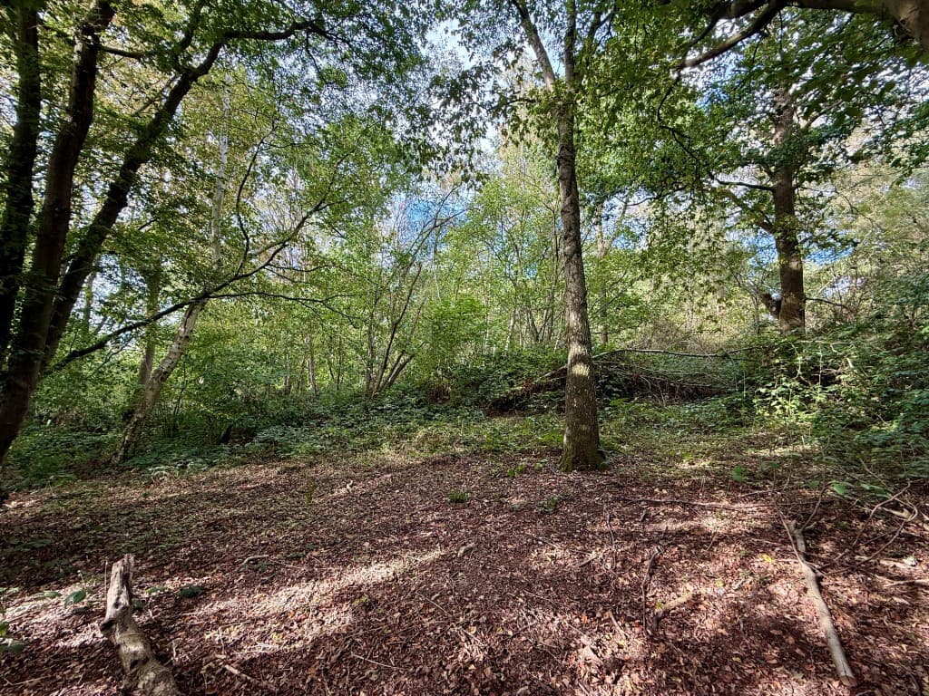 Land On West Side of Bottles Lane, Rodmersham, Sittingbourne ME9 0PR: Freehold Land Measuring Approx 4.85 Acres 4
