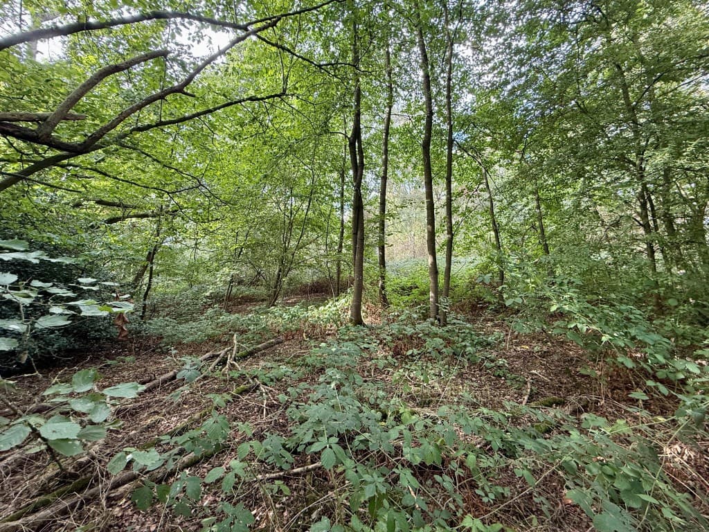Land On West Side of Bottles Lane, Rodmersham, Sittingbourne ME9 0PR: Freehold Land Measuring Approx 4.85 Acres 5