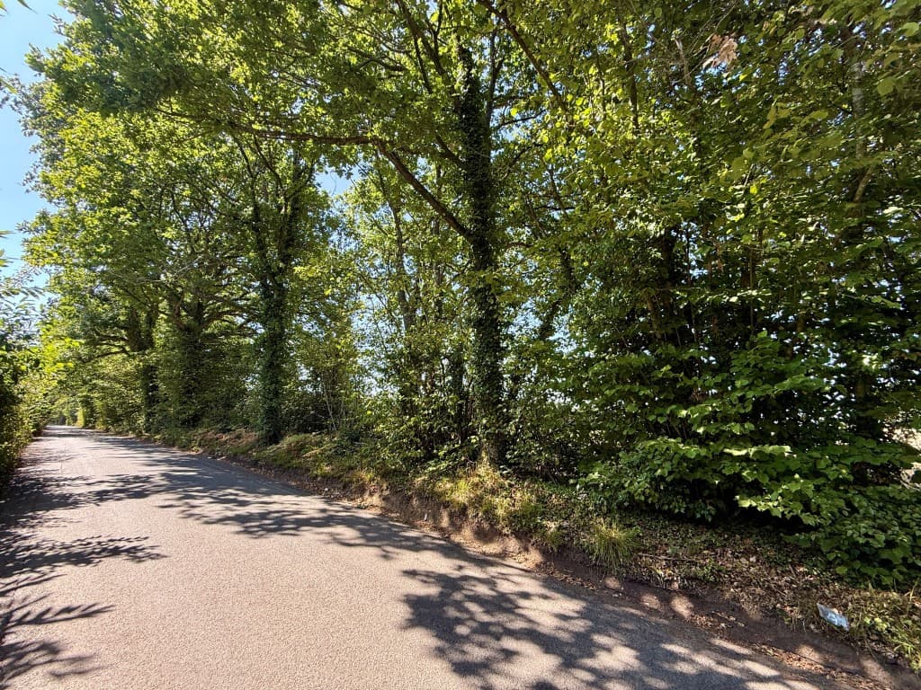 Four Parcels Of Land in Leeds Village, Leeds, Maidstone ME17 1RP: Four Parcels Of Land Measuring Approx Four Acres 2