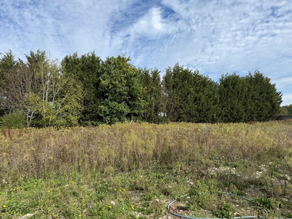 The Pig Farm, Guildford Road, Bucks Green RH12 3JJ: Land In Favoured Location With Outline Planning For Six Dwellings 5