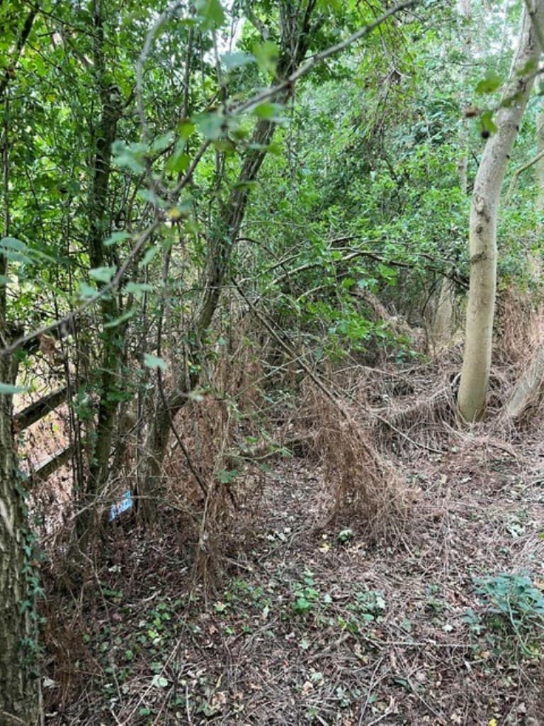 Land Adjoining The Rosary and The Leas, Wycke Hill, Maldon CM9 6SH: Strip Of Freehold Land 3