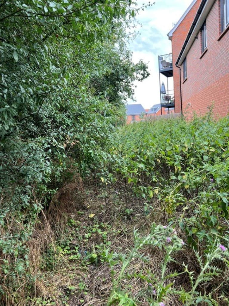 Land Adjoining The Rosary and The Leas, Wycke Hill, Maldon CM9 6SH: Strip Of Freehold Land 5