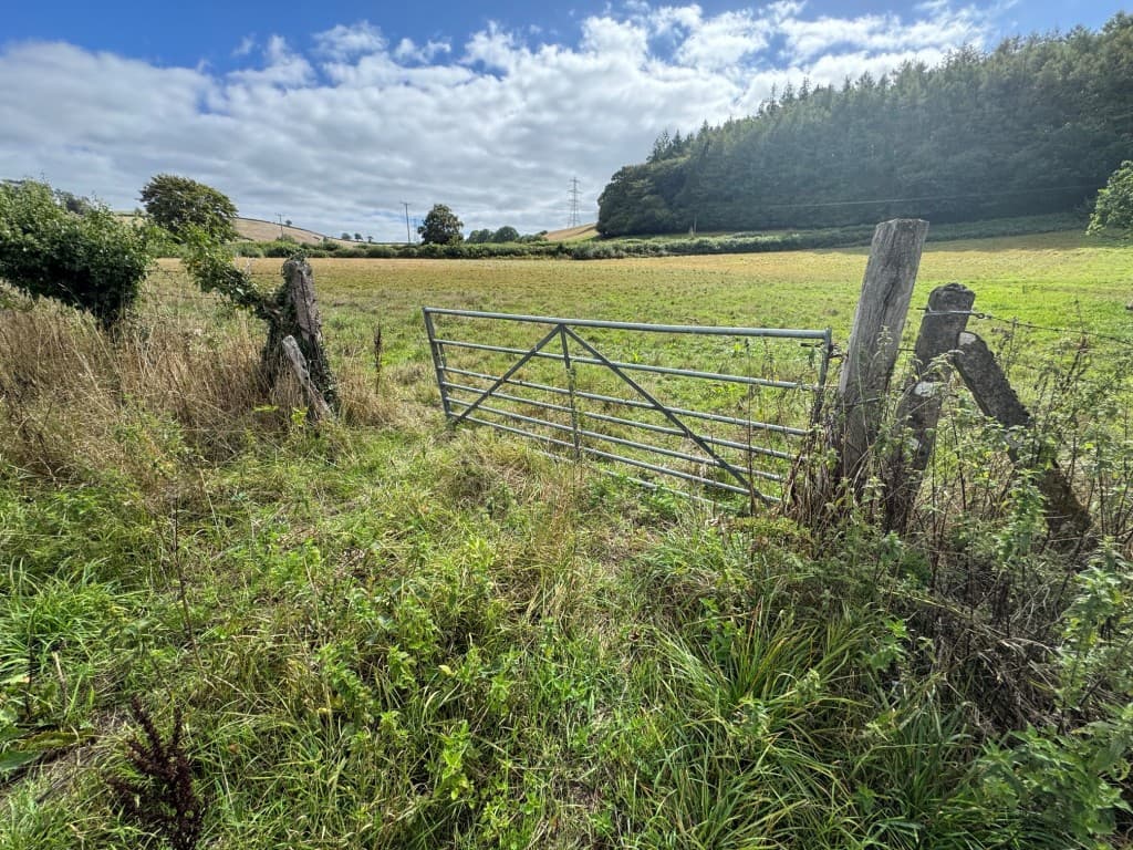 Paddock Land, Higher Grants, Exebridge, Dulverton TA22 9BE: Over Three Acres Paddock Land With Frontage 1