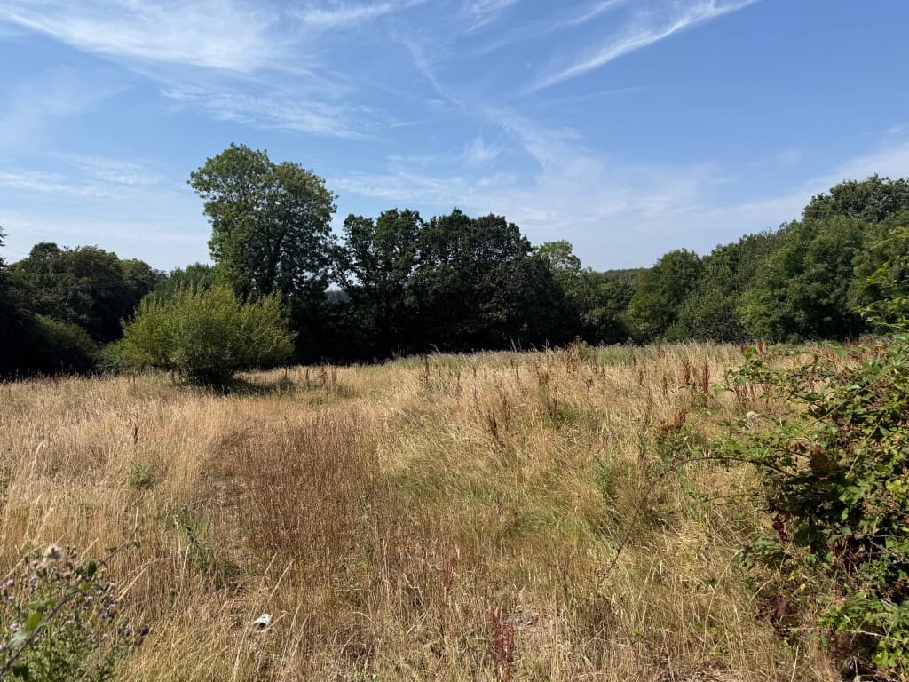 Land at Chipperfield, Charmouth Road, Axminster EX13 5SZ: Parcel Of Freehold Land Extending To 3.22 Acres With Potential 5
