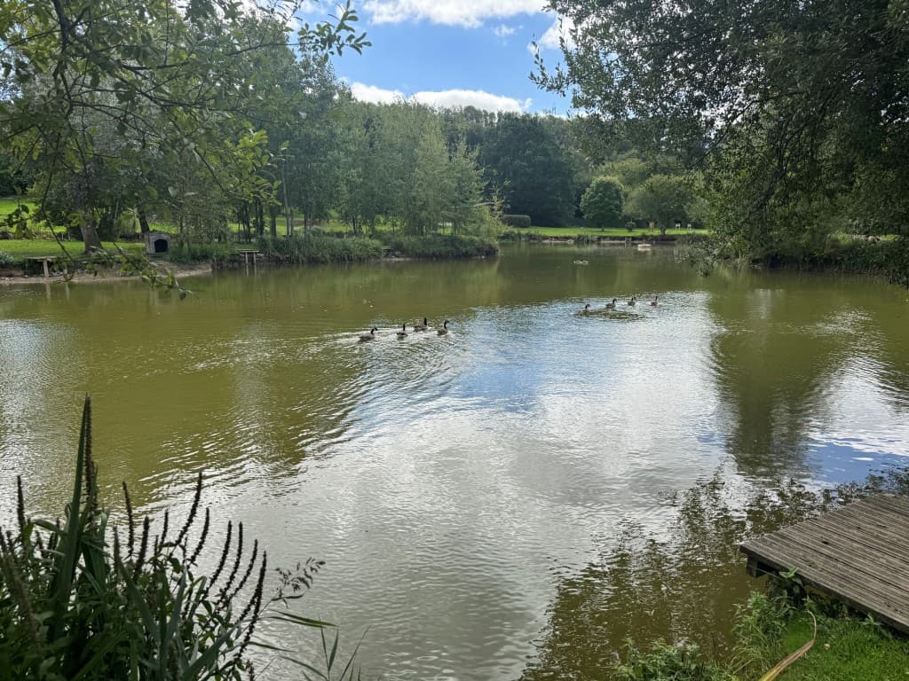 Lakeside Lodges, Higher Grants, Exebridge, Dulverton TA22 9BB: Freehold Ten Acre Site With Lakes And Lodges 4