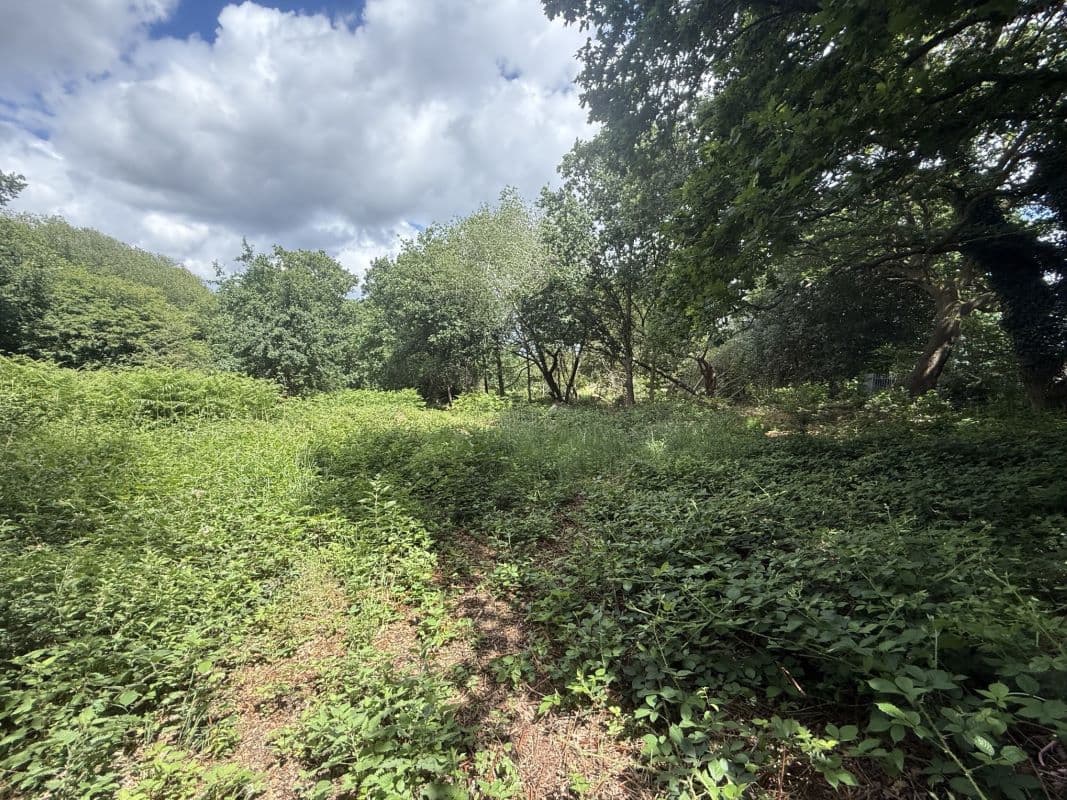 Freehold Plots For Sale in Blackwater, Surrey 2